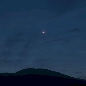 The darkness of the night (Single)