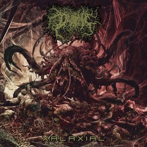 Xalaxial
