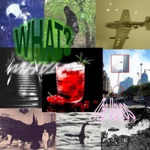 What? (Single)