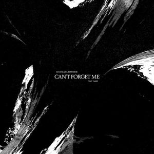 Can't Forget Me (Single)