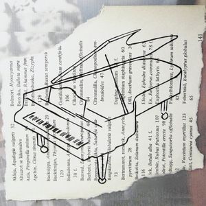 Slow Motion Stories (EP)