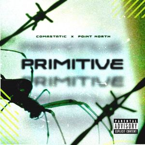 PRIMITIVE (Single)