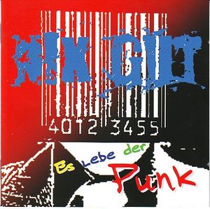 Es lebe der Punk