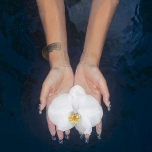 orchids (lullabies) (EP)