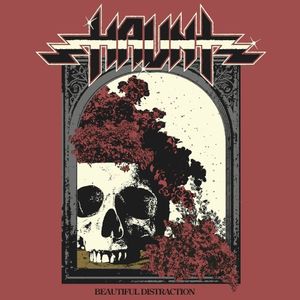 Beautiful Distraction