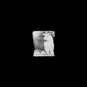 4-Way Split (EP)