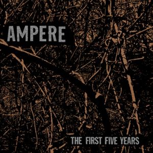 The First Five Years
