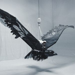 Amor (Single)