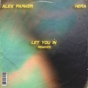 Let You In (Remixes)