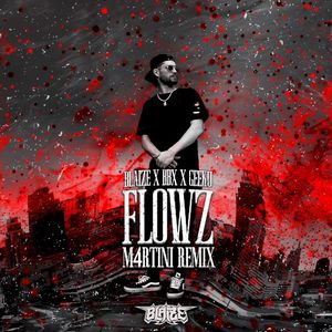 FLOWZ (M4RTINI remix)