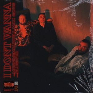 I Don't Wanna (Single)