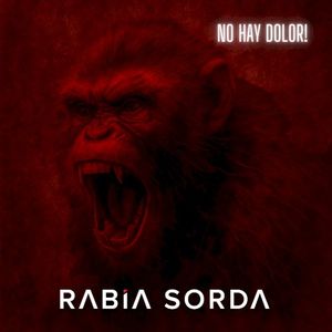 No Hay Dolor! (Single)