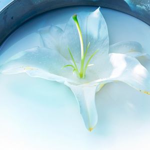 ホームカミング (Single)