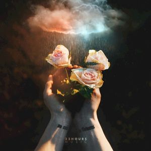 NO RAIN NO FLOWERS (EP)