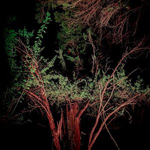 ambient feelings