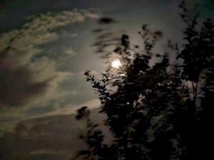 tenebris luna (Single)