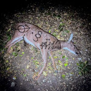 crocodile eyes (Single)