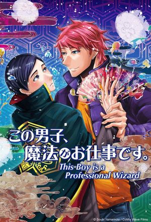 This Boy is a Professional Wizard