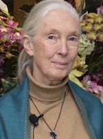 Jane Goodall