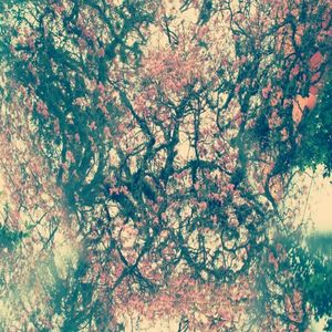 Staring Into Spaces (EP)