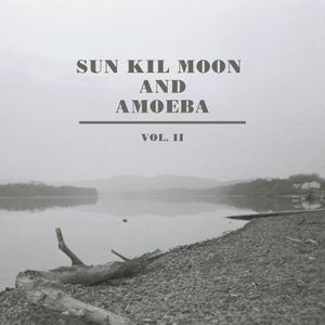 Sun Kil Moon and Amoeba, Vol. II