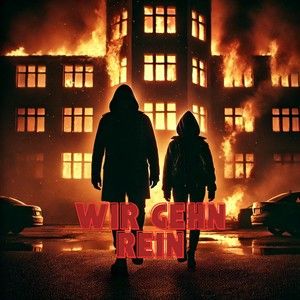 Wir Gehn Rein (Single)
