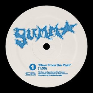 New From the Pain (Single)