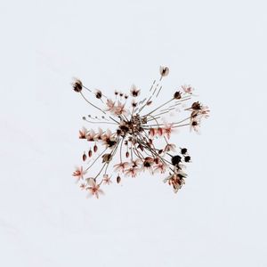 Loon Moon (IMANU remix)