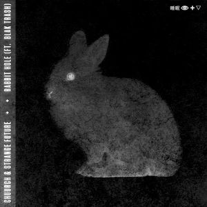 Rabbit Hole (Single)