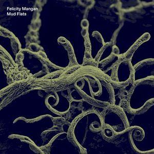 Mud Flats (EP)