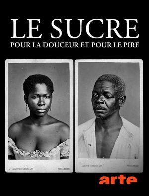 Le sucre, pour la douceur et pour le pire