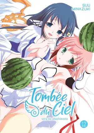 Tombée du ciel, tome 12