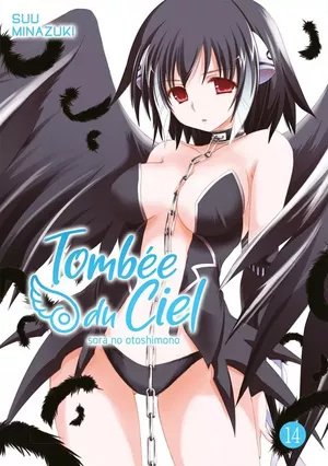 Tombée du ciel, tome 14