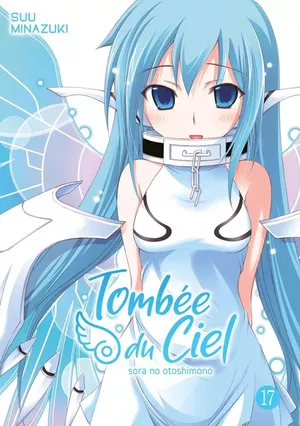 Tombée du ciel, tome 17