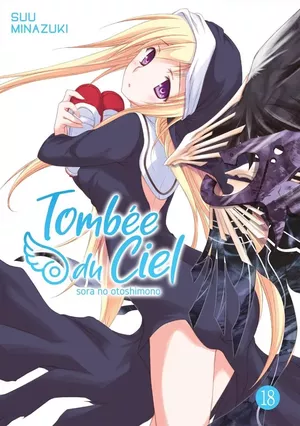 Tombée du ciel, tome 18