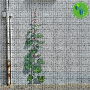 The Shadows of Ghosts