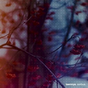 sorbus (EP)