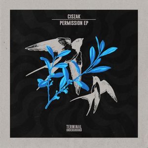 Permission (Single)