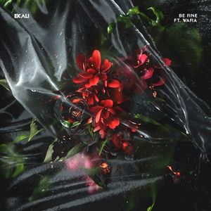 Be Fine (Single)