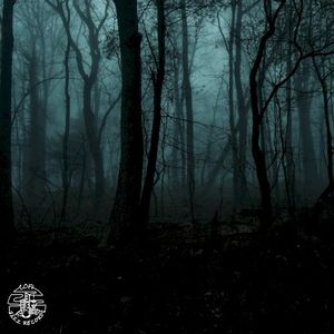 The Mysterious Castle (Single)