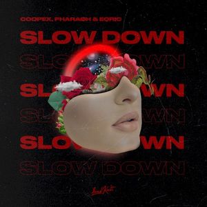 Slow Down (Single)