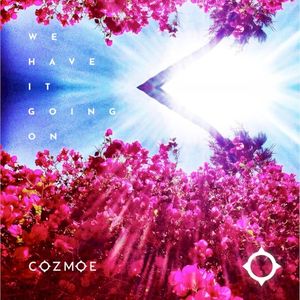 We Have It Going On (Single)
