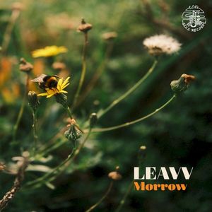 Morrow (Single)