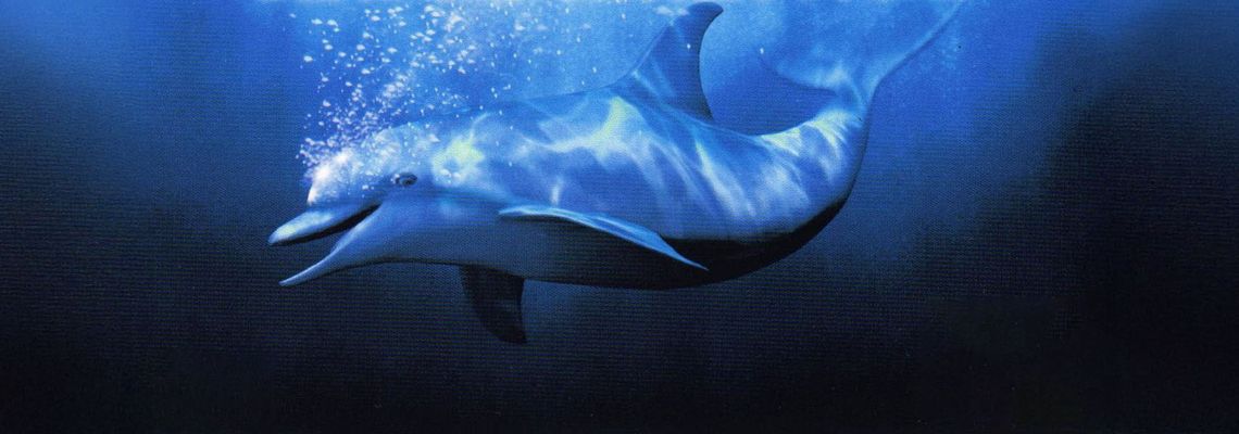 Cover Ecco the Dolphin: Defender of the Future