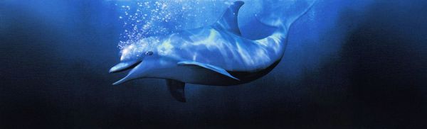 Ecco the Dolphin: Defender of the Future