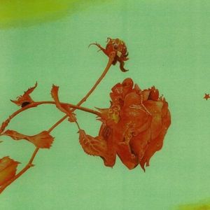 Object Of Perception (EP)