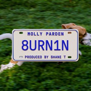 Burnin (Single)