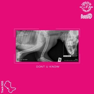 DONT U KNOW (Single)