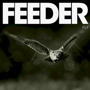 Fly (Single)