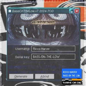 BASS ON THE LOW (Single)